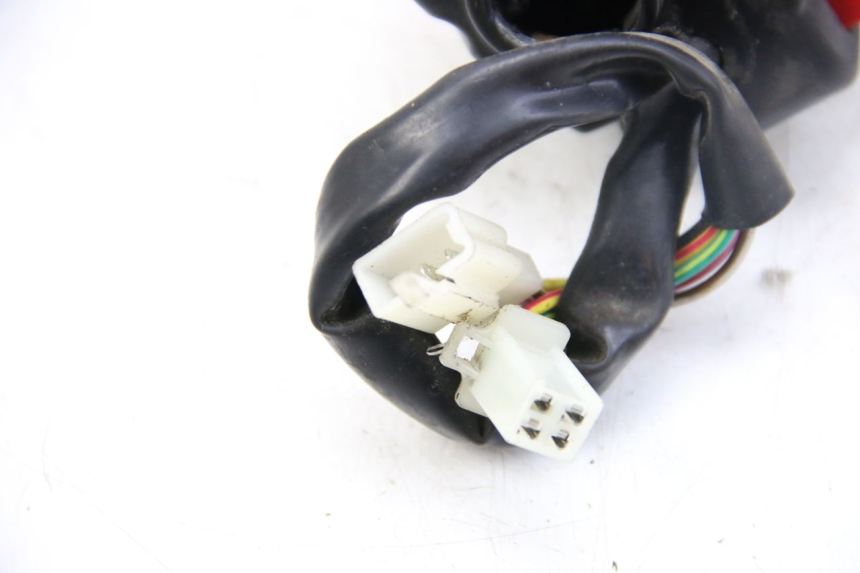 photo de MANUBRIO DESTRO IMF INDUSTRIE PACH 4T 50 (2009 - 2018) - Vista d'insieme del prodotto