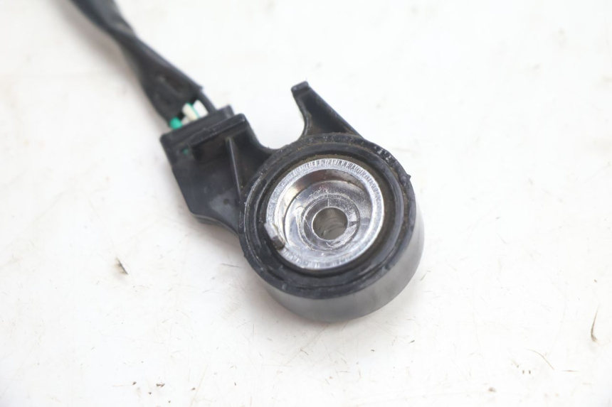 photo de INTERRUTTORE CAVALLETTO VASTRO GP 2T 50 (2013 - 2017) - Primo piano tecnico
