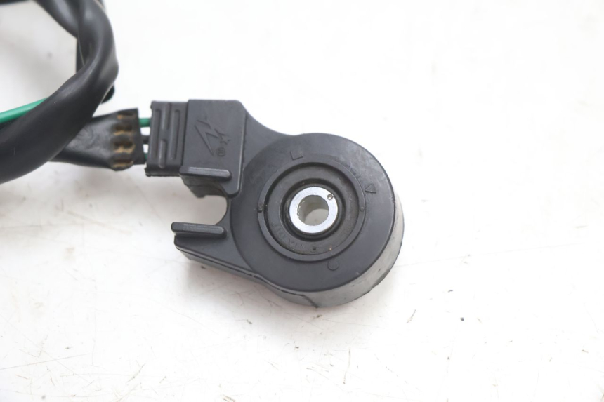 photo de INTERRUTTORE CAVALLETTO IMF INDUSTRIE NEW PACH 2T 50 (2014 - 2020) - Dettaglio del componente