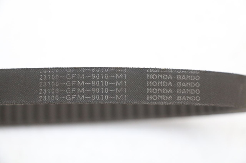 photo de CINGHIA HONDA NHX LEAD 110 (2008 - 2010) - Dettaglio del componente