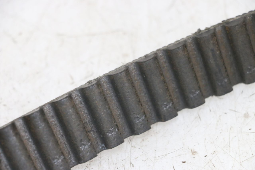 photo de CINGHIA HARLEY DAVIDSON SPORTSTER XL CUSTOM 1200 (2003 - 2004) - Dettaglio del componente