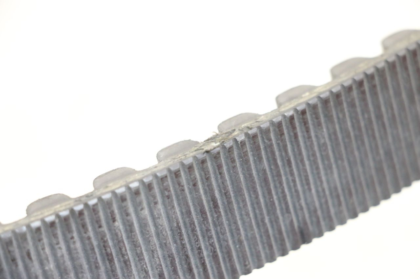 photo de CINGHIA HARLEY DAVIDSON SPORTSTER XL CUSTOM 1200 (2003 - 2004) - Zoom sullo stato d'uso