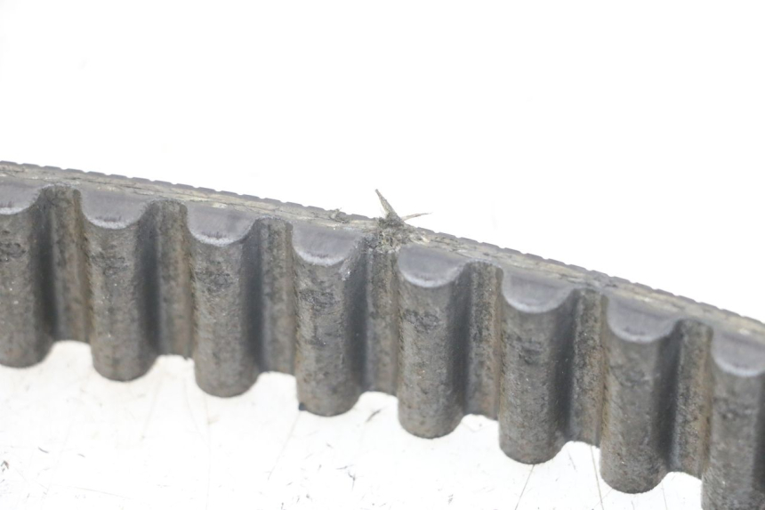 photo de CINGHIA HARLEY DAVIDSON SPORTSTER XL CUSTOM 1200 (2003 - 2004) - Primo piano tecnico