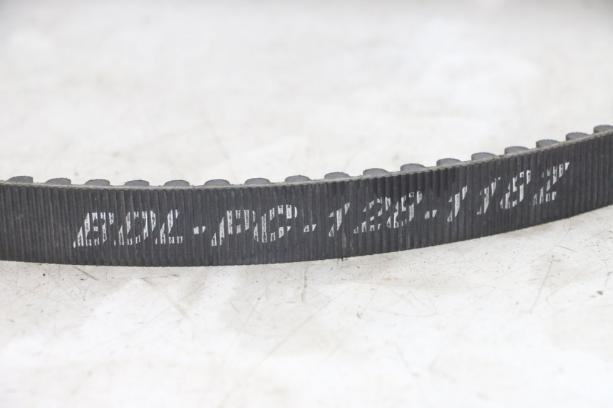 photo de CINGHIA HARLEY DAVIDSON SPORTSTER XL CUSTOM 1200 (2003 - 2004) - Vista d'insieme del prodotto