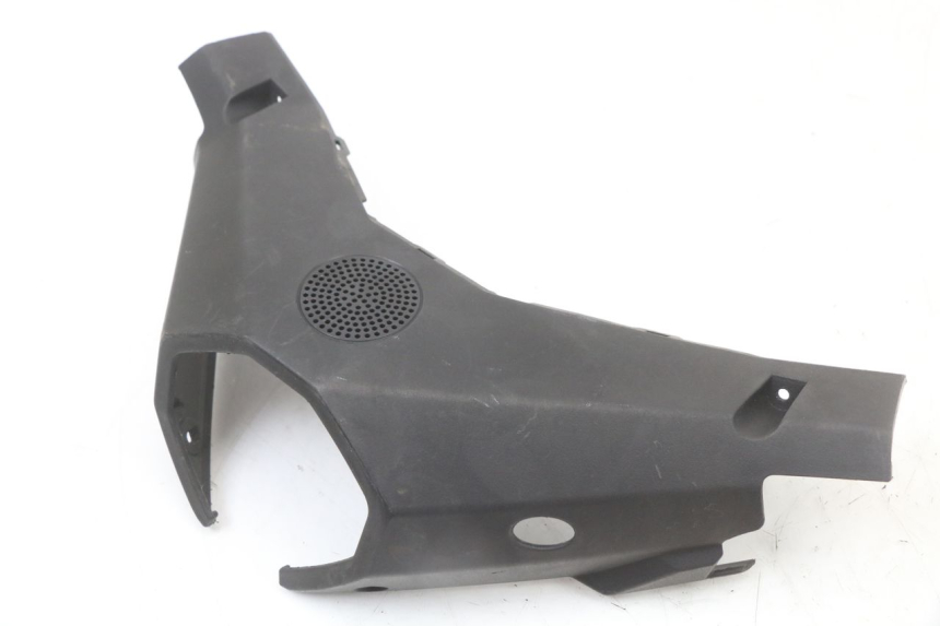 photo de COPRIMANUBRIO POSTERIORE LONGJIA EASY MAX 125 (2020 - 2024) - Altra angolazione