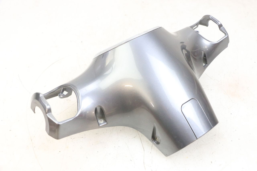 photo de COPRIMANUBRIO POSTERIORE EFUN PUSA 1 - Stato della superficie e materiale