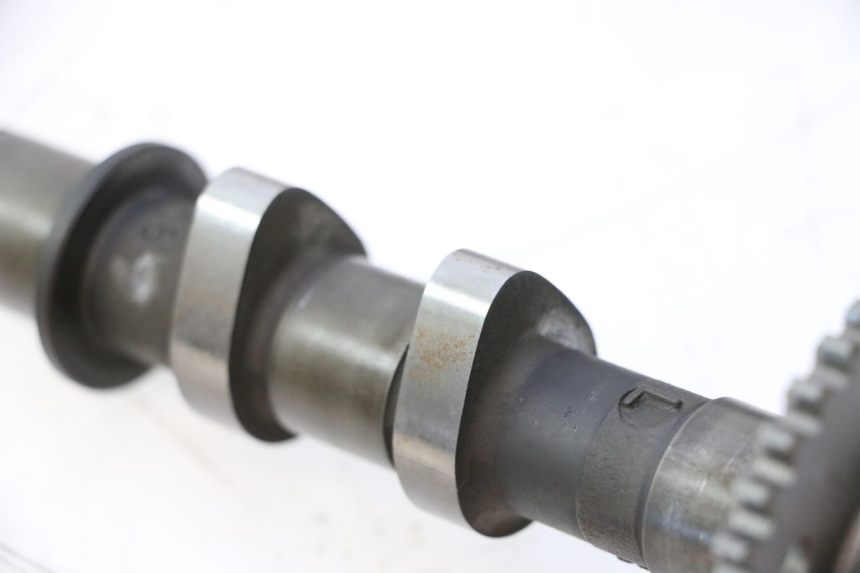 photo de TESTATA POSTERIORE SUZUKI SV S 650 (2003 - 2009) - Caratteristiche distintive