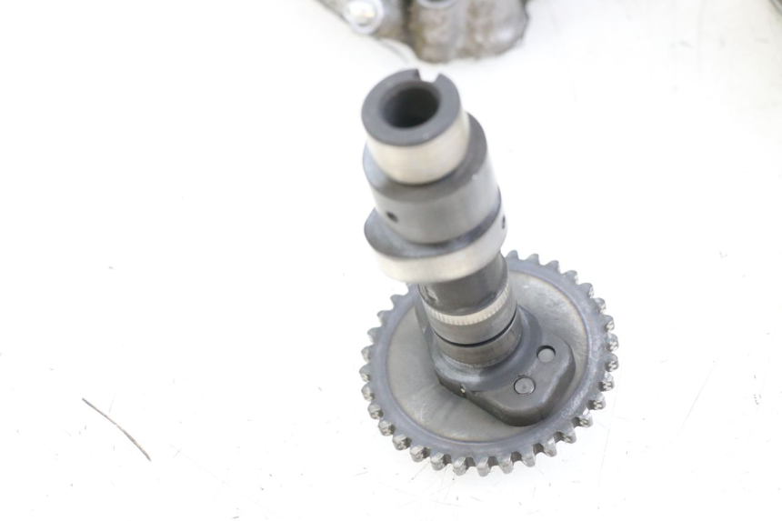 photo de TESTATA POSTERIORE SUZUKI VL INTRUDER 125 (2004 - 2007) - Caratteristiche distintive