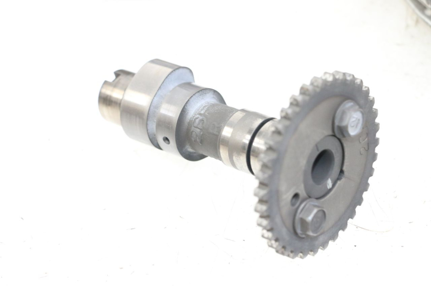 photo de TESTATA POSTERIORE SUZUKI VL INTRUDER 125 (2004 - 2007) - Primo piano ad alta risoluzione