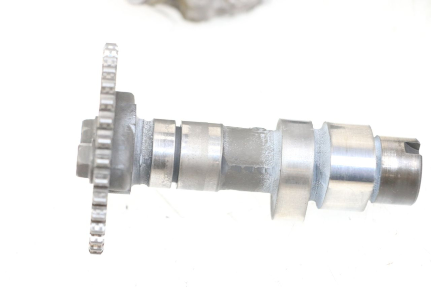 photo de TESTATA POSTERIORE SUZUKI VL INTRUDER 125 (2004 - 2007) - Foto prodotto supplementare