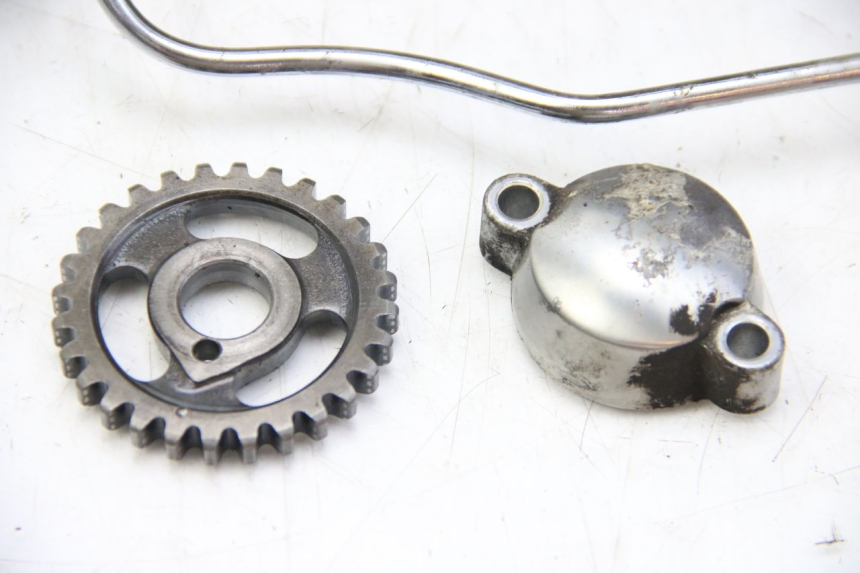 photo de TESTATA POSTERIORE YAMAHA XV VIRAGO 750 (1984 - 1998) - Angolazione alternativa