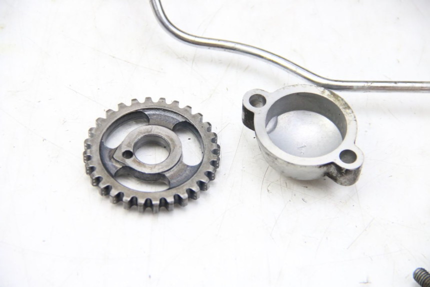 photo de TESTATA POSTERIORE YAMAHA XV VIRAGO 750 (1984 - 1998) - Altra angolazione