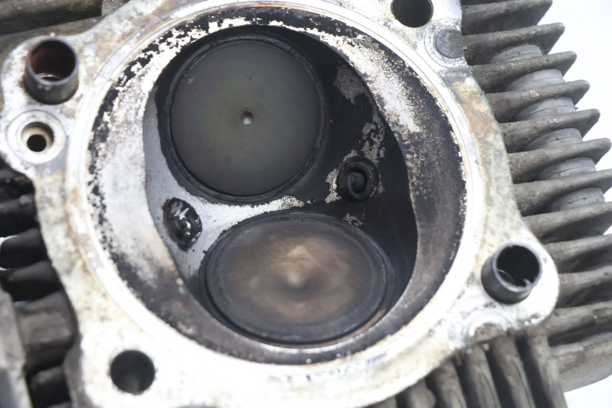photo de TESTATA ANTERIORE DUCATI SS IE DS CARENEE 1000 (2002 - 2006) - Stato della superficie e materiale