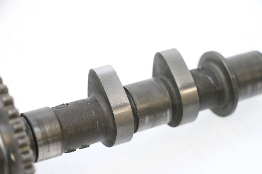 photo de Testata anteriore SUZUKI SV S 650 (1999 - 2002) - Caratteristiche distintive