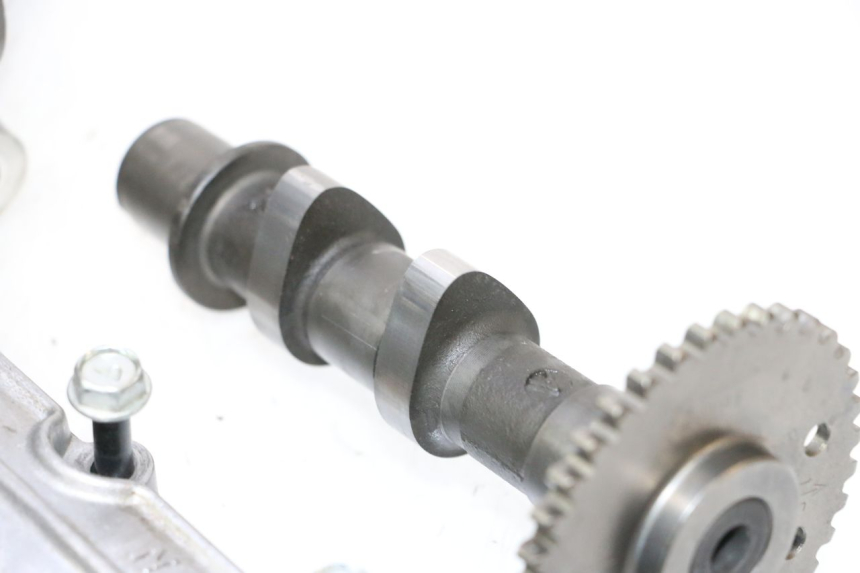 photo de Testata anteriore SUZUKI SV S 650 (1999 - 2002) - Ispezione visiva dettagliata