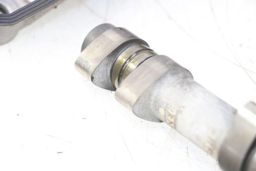 photo de TESTATA ANTERIORE HONDA VFR FI RC46 800 (1998 - 2001) - Panoramica del profilo
