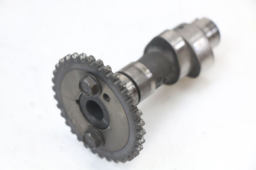 photo de TESTATA ANTERIORE SUZUKI VL INTRUDER 125 (2004 - 2007) - Caratteristiche distintive