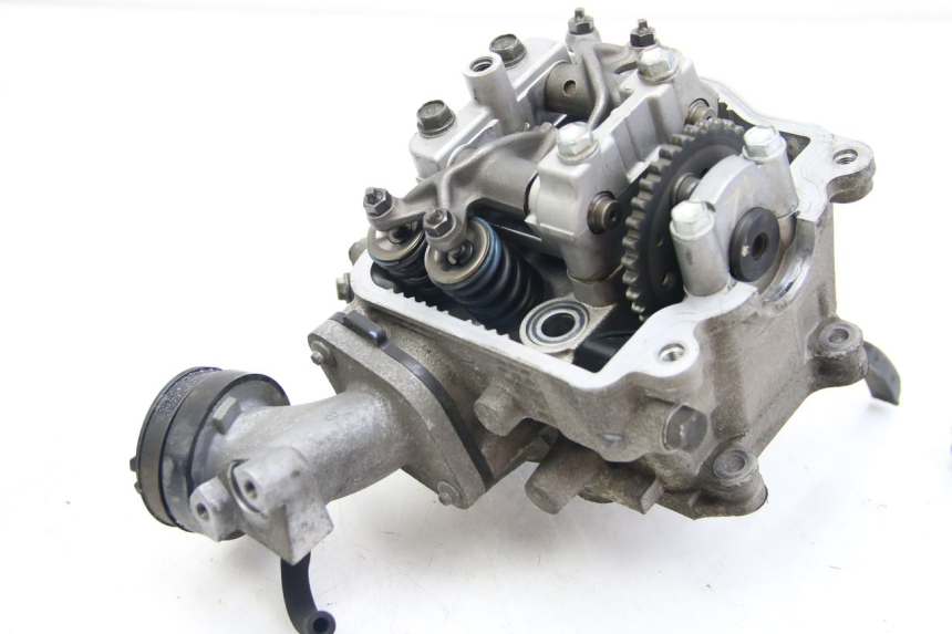 photo de TESTATA SUZUKI BURGMAN 125 (2007 - 2014) - Marcature e riferimenti originali