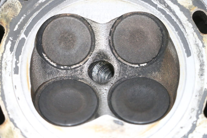 photo de TESTATA SUZUKI BURGMAN 125 (2007 - 2014) - Angolazione alternativa