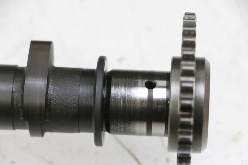 photo de TESTATA SUZUKI BURGMAN 650 (2013 - 2020) - Vista principale