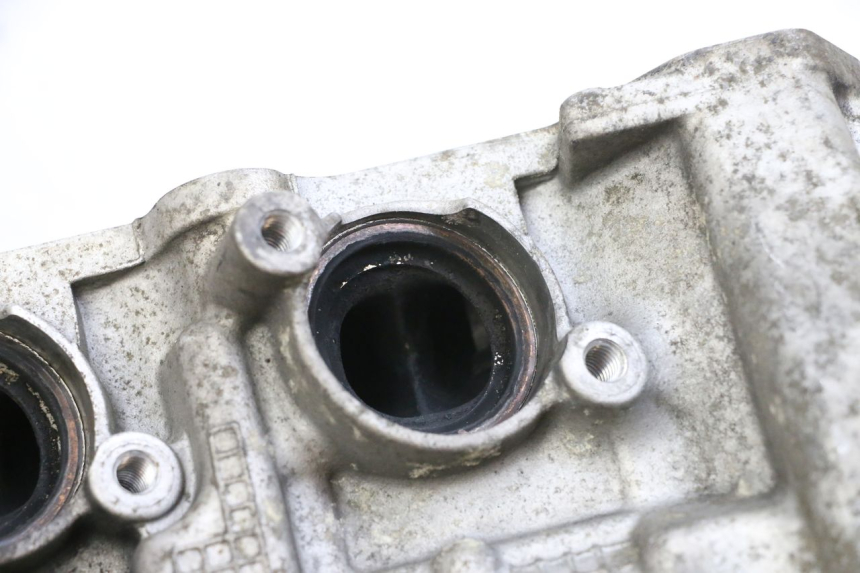 photo de TESTATA SUZUKI BURGMAN 650 (2013 - 2020) - Angolazione alternativa