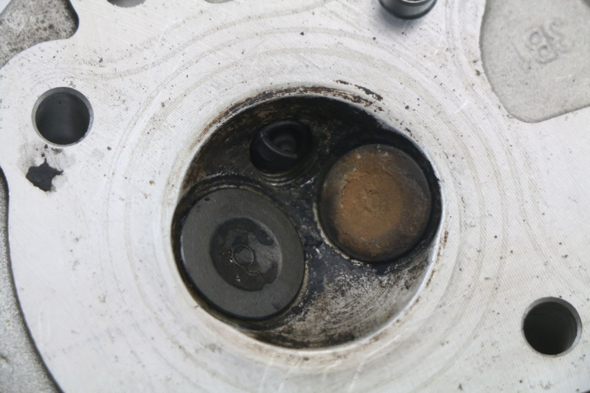 photo de TESTATA LONGJIA DIGITA 4T 50 (2019 - 2022) - Angolazione alternativa