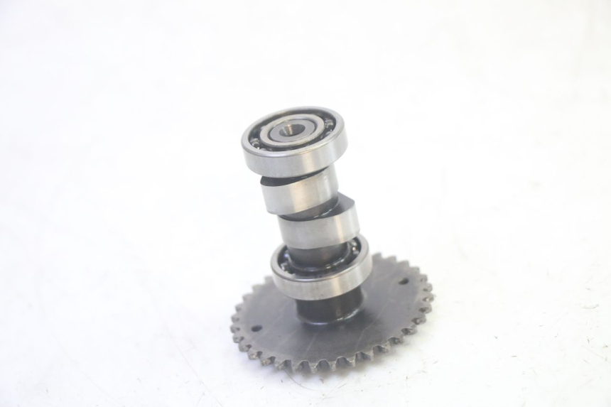 photo de TESTATA LONGJIA DIGITA 4T 50 (2019 - 2022) - Ispezione visiva dettagliata