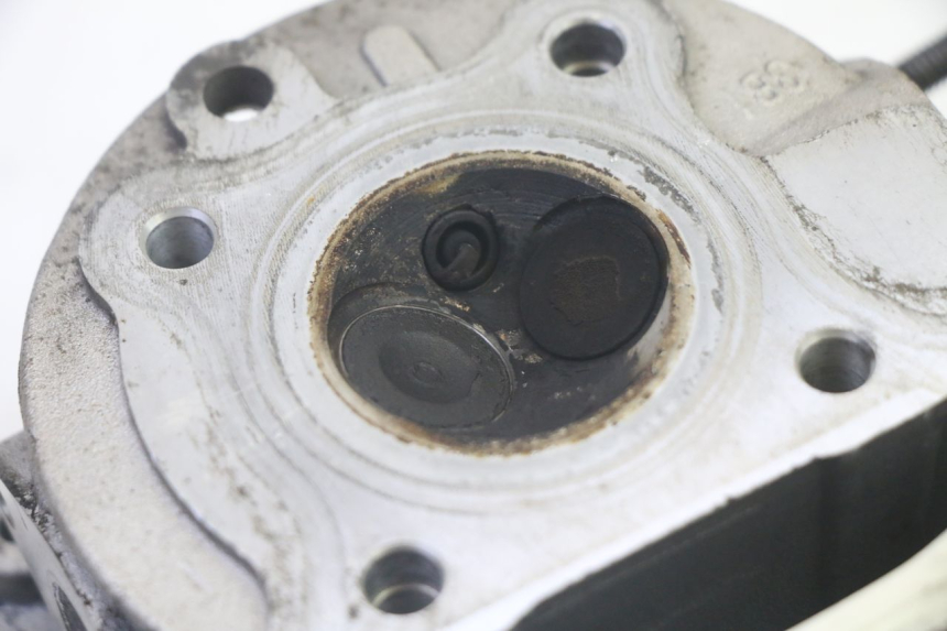 photo de TESTATA LONGJIA DIGITA 4T 50 (2019 - 2022) - Primo piano tecnico