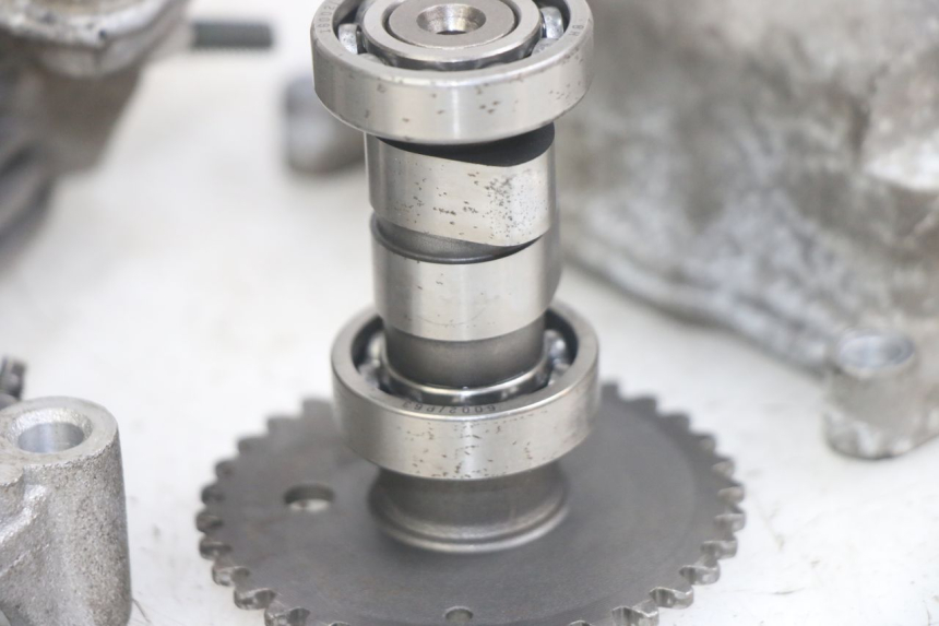 photo de TESTATA JM MOTORS EVOLIS 4T 50 (2018 - 2022) - Primo piano ad alta risoluzione