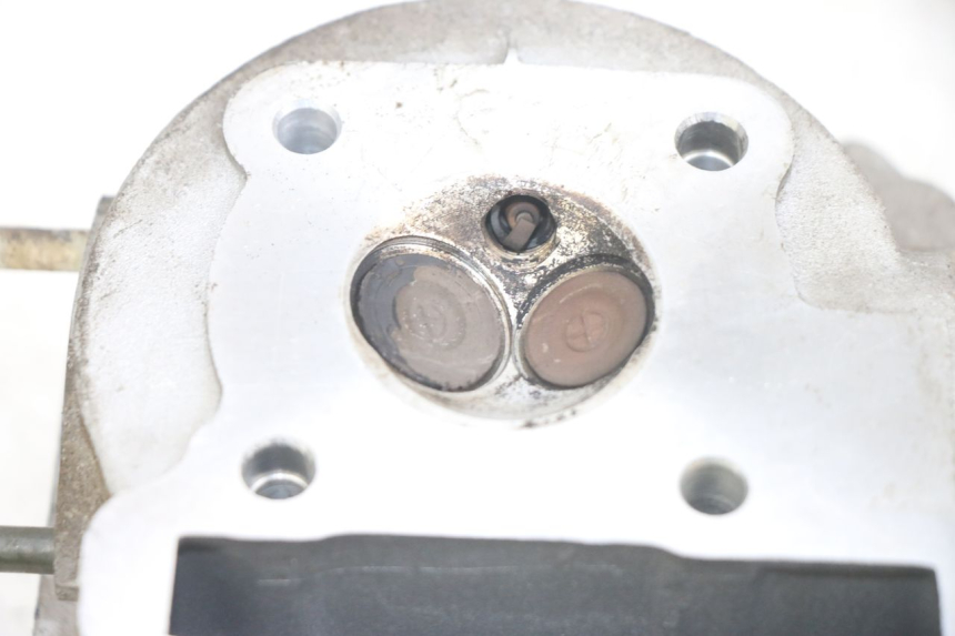 photo de TESTATA JM MOTORS EVOLIS 4T 50 (2018 - 2022) - Vista d'insieme del prodotto