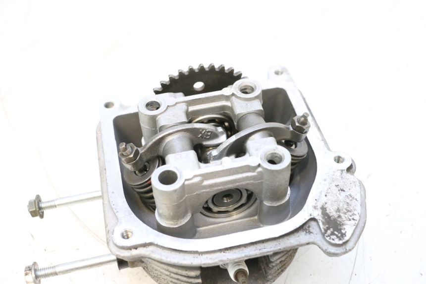 photo de TESTATA JM MOTORS EVOLIS 4T 50 (2018 - 2022) - Primo piano ad alta risoluzione