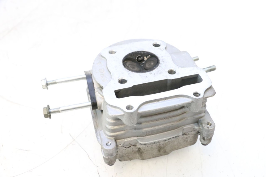 photo de TESTATA JM MOTORS EVOLIS 4T 50 (2018 - 2022) - Focus sulla struttura