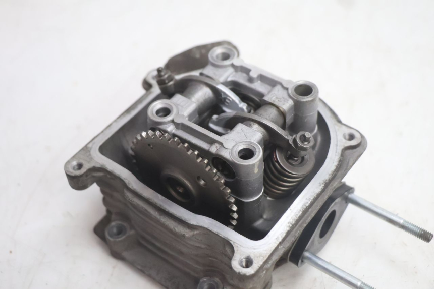 photo de TESTATA JM MOTORS EVOLIS 4T 50 (2018 - 2022) - Primo piano ad alta risoluzione