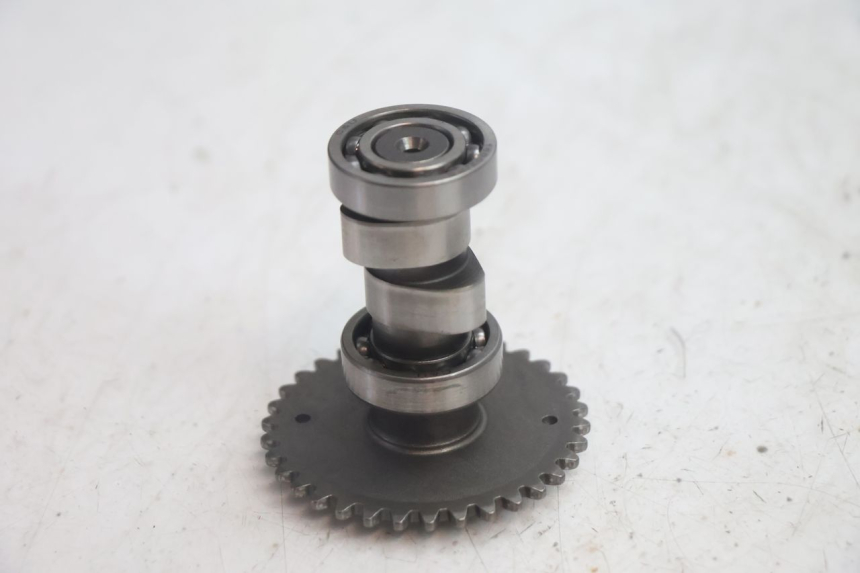 photo de TESTATA JM MOTORS EVOLIS 4T 50 (2018 - 2022) - Dettagli dei punti di fissaggio