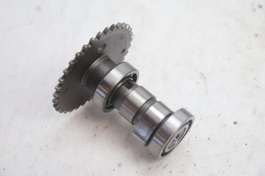 photo de TESTATA JM MOTORS EVOLIS 4T 50 (2018 - 2022) - Stato della superficie e materiale