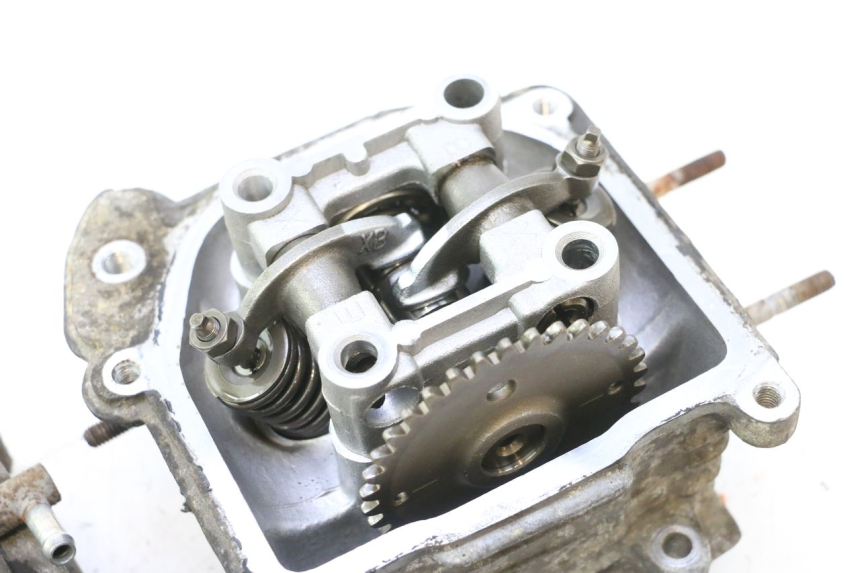 photo de TESTATA JM MOTORS F45i 4T 50 (2020 - 2023) - Caratteristiche distintive