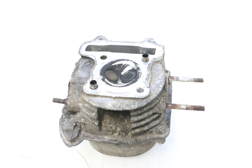photo de TESTATA JM MOTORS F45i 4T 50 (2020 - 2023) - Foto prodotto supplementare