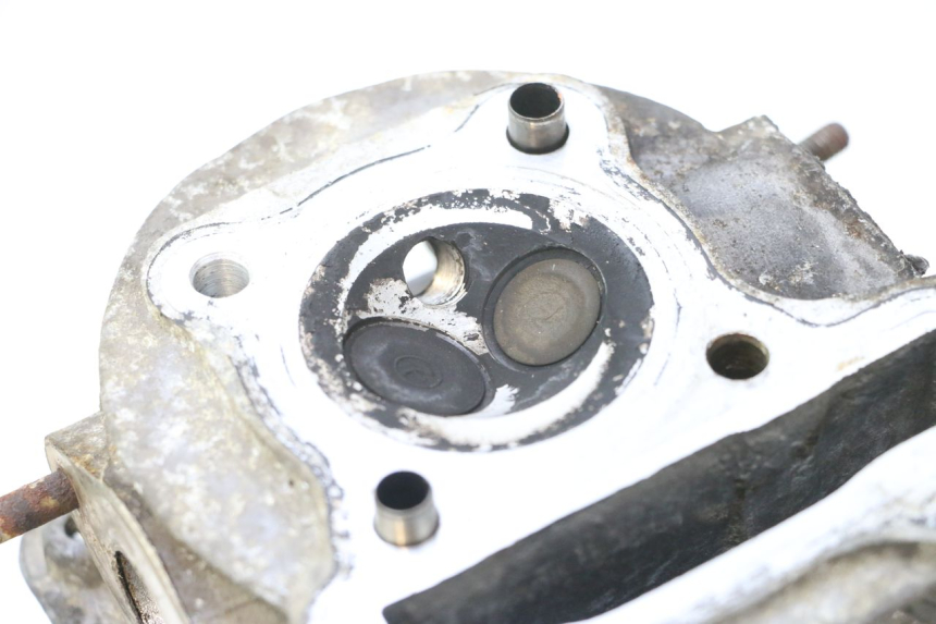 photo de TESTATA JM MOTORS F45i 4T 50 (2020 - 2023) - Ispezione visiva dettagliata