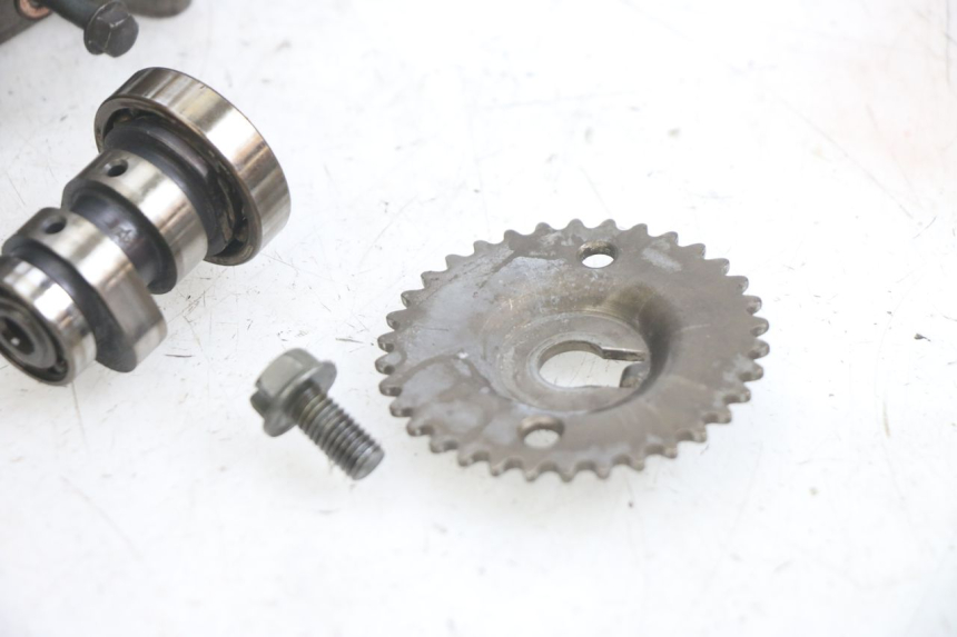 photo de TESTATA TNT MOTOR FASTINO 4T 50 (2013 - 2019) - Marcature e riferimenti originali