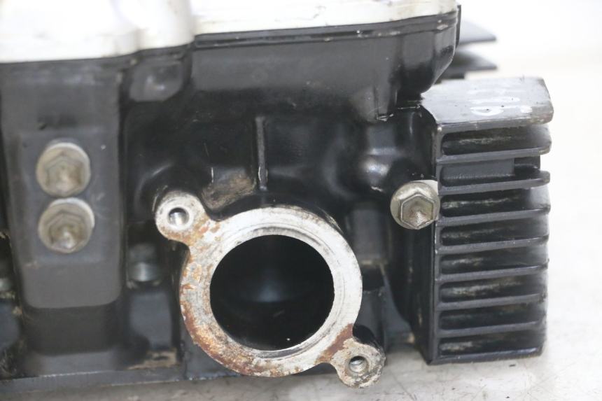 photo de TESTATA SUZUKI GS GSE 500 (2001 - 2003) - Focus sulla struttura