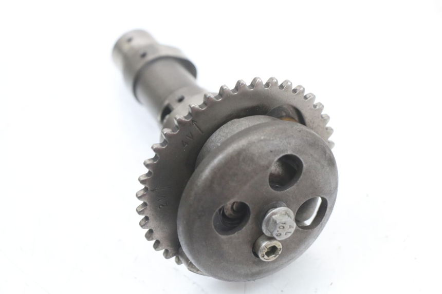 photo de TESTATA RENAULT KOURANOS 125 (2001 - 2004) - Primo piano tecnico