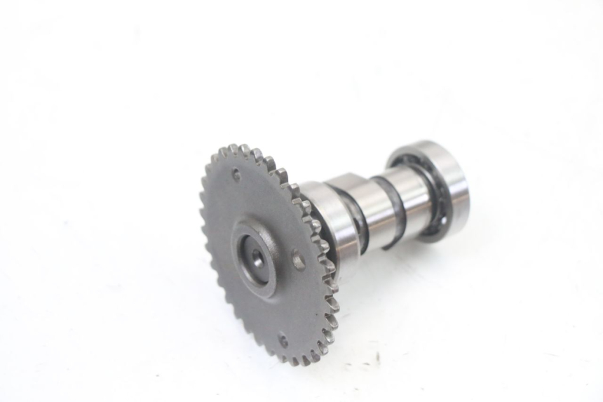 photo de TESTATA MASH CITY 4T 50 (2018 - 2020) - Altra vista dell'articolo