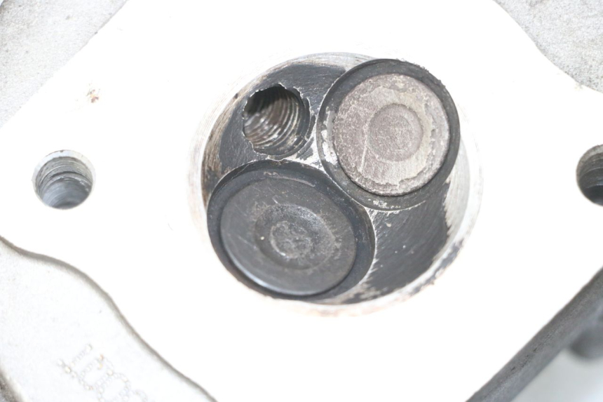 photo de TESTATA JM MOTORS OLDIES 4T 50 (2010 - 2020) - Panoramica del profilo