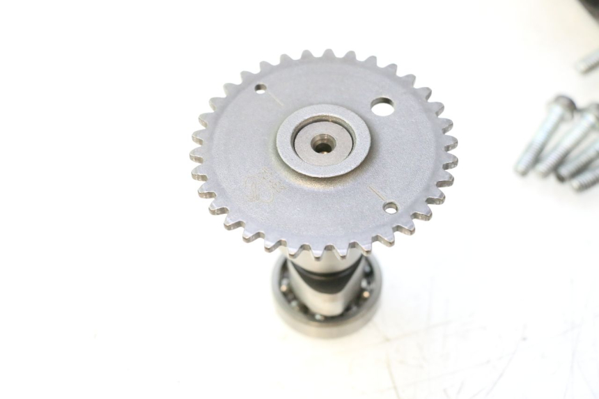 photo de TESTATA JM MOTORS OLDIES 4T 50 (2020 - 2026) - Dettaglio del componente