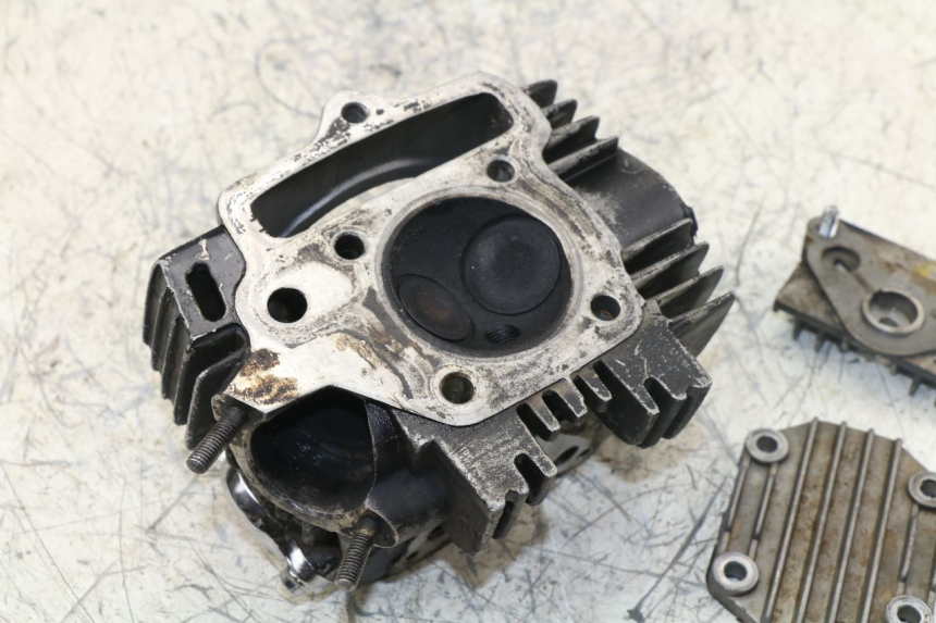 photo de Testata PANTHERA PANTHERA 110 (2010 - 2017) - Altra angolazione