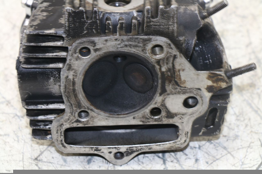 photo de Testata PANTHERA PANTHERA 110 (2010 - 2017) - Primo piano tecnico