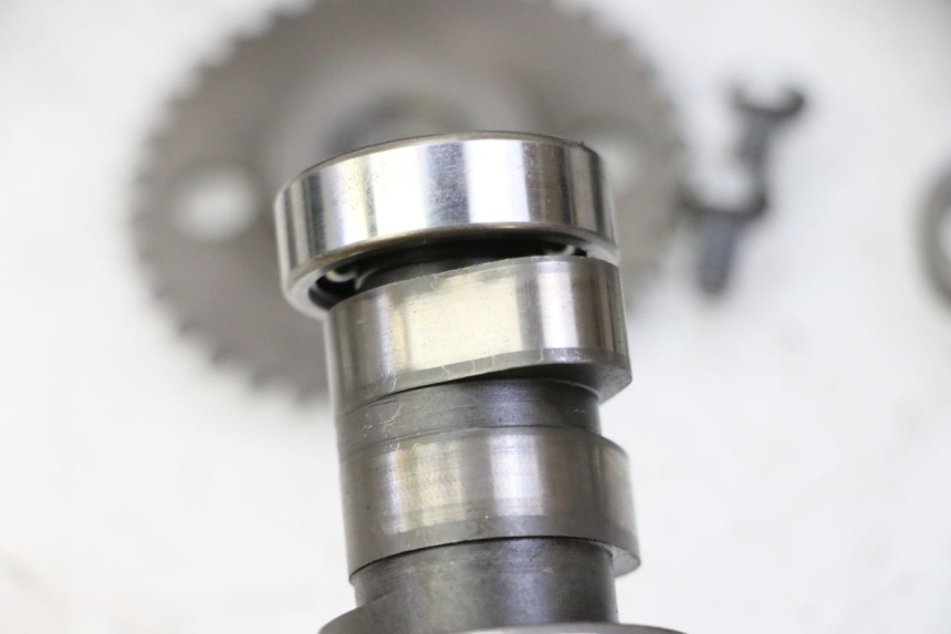 photo de TESTATA PEUGEOT SATELIS 125 (2013 - 2018) - Vista principale