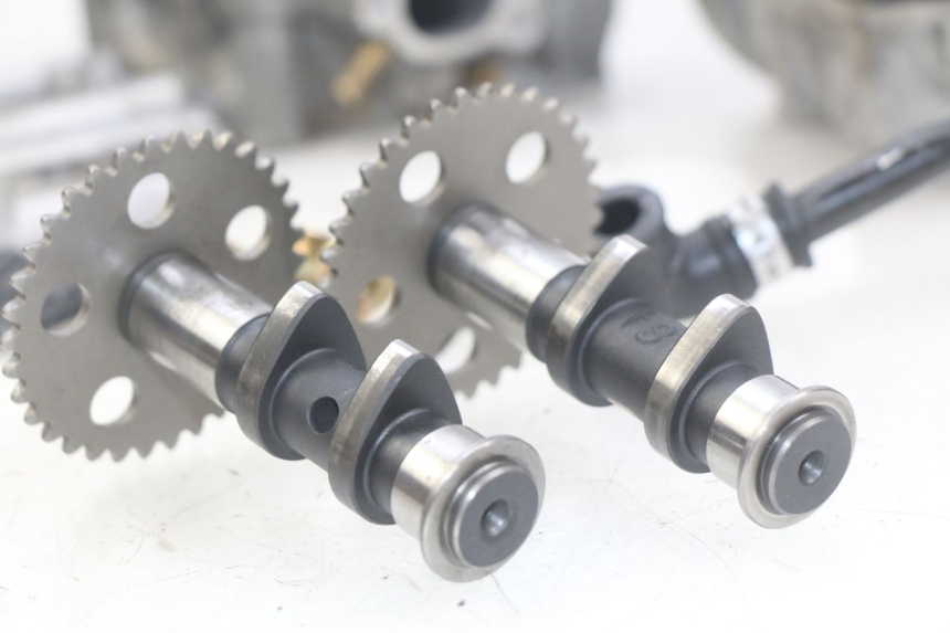 photo de TESTATA APRILIA SCARABEO LIGHT 125 (2007 - 2011) - Panoramica del profilo