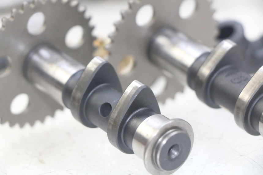 photo de TESTATA APRILIA SCARABEO LIGHT 125 (2007 - 2011) - Vista principale