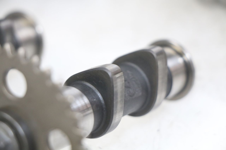 photo de TESTATA APRILIA SCARABEO LIGHT 125 (2007 - 2011) - Zoom sullo stato d'uso